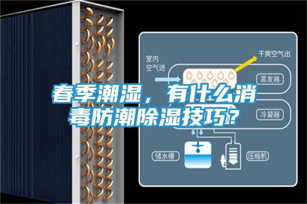 春季潮湿，有什么消毒防潮除湿技巧？