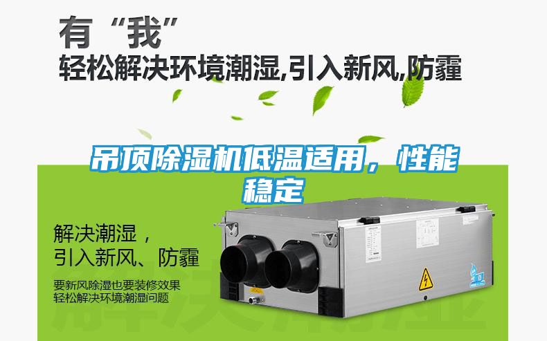 吊顶除湿机低温适用，性能稳定