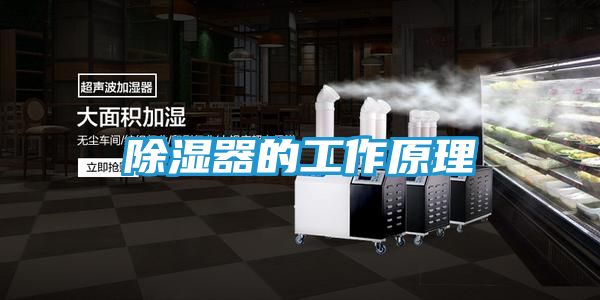 除湿器的工作原理