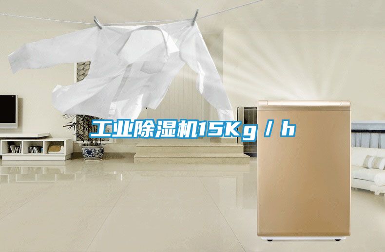 工业除湿机15Kg／h