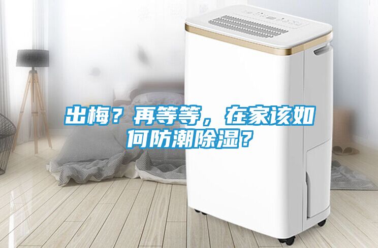 出梅？再等等，在家该如何防潮除湿？