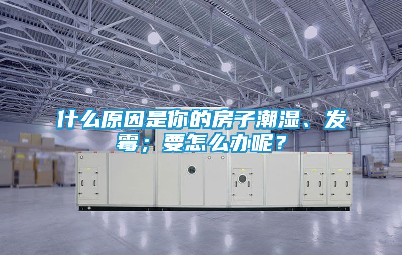 什么原因是你的房子潮湿、发霉；要怎么办呢？