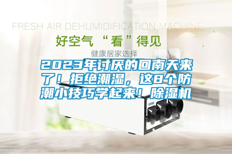 2023年讨厌的回南天来了！拒绝潮湿，这8个防潮小技巧学起来！除湿机