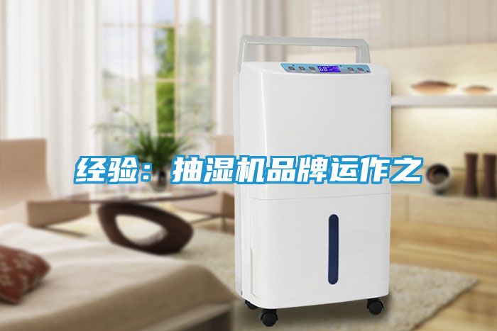 经验：抽湿机品牌运作之