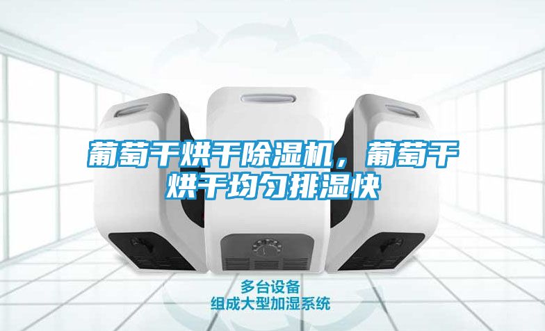 葡萄干烘干除湿机，葡萄干烘干均匀排湿快