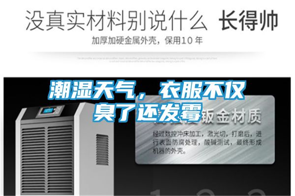 潮湿天气，衣服不仅臭了还发霉
