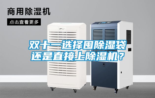 双十一选择囤除湿袋还是直接上除湿机？