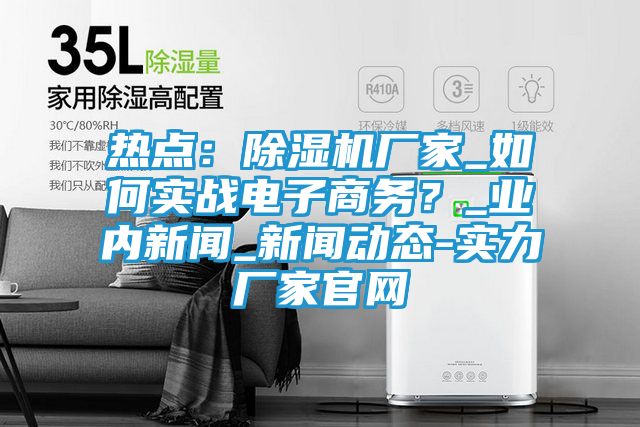 热点：除湿机厂家_如何实战电子商务？_业内新闻_新闻动态-实力厂家官网
