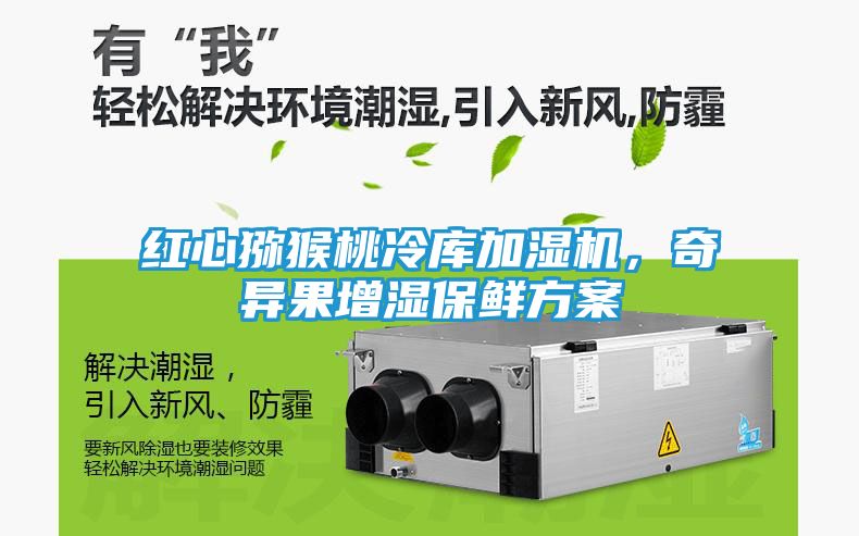 红心猕猴桃冷库加湿机，奇异果增湿保鲜方案