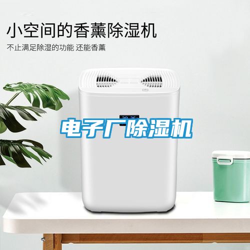 电子厂除湿机