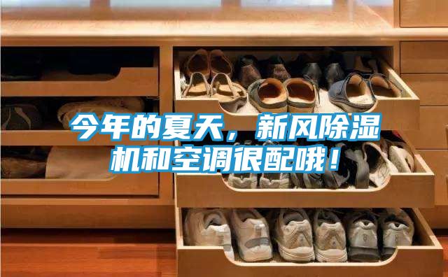 今年的夏天，新风除湿机和空调很配哦！