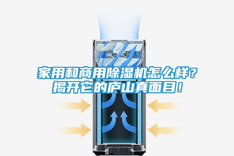 家用和商用除湿机怎么样？揭开它的庐山真面目！
