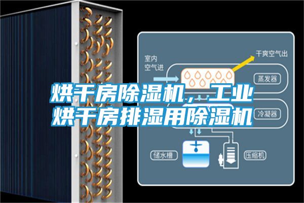 烘干房除湿机，工业烘干房排湿用除湿机