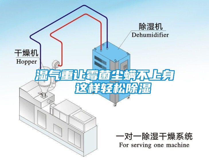 湿气重让霉菌尘螨不上身  这样轻松除湿
