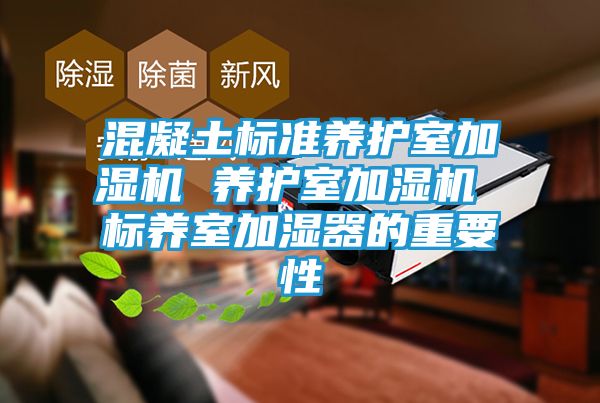 混凝土标准养护室加湿机 养护室加湿机 标养室加湿器的重要性