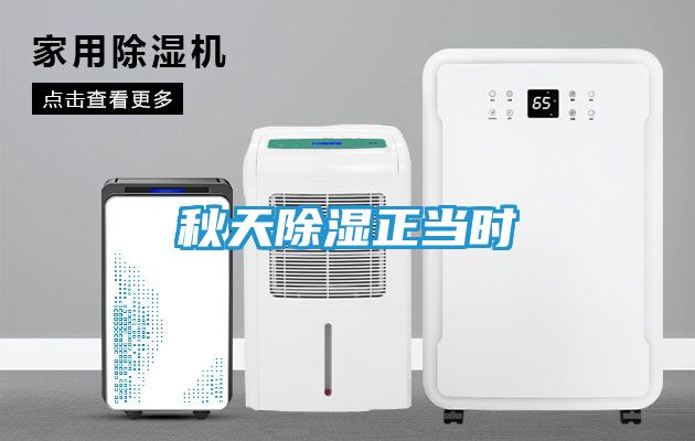 秋天除湿正当时
