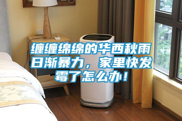 缠缠绵绵的华西秋雨日渐暴力，家里快发霉了怎么办！