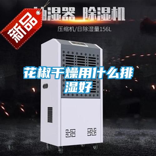 花椒干燥用什么排湿好
