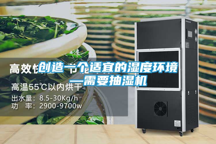 创造一个适宜的湿度环境—需要抽湿机