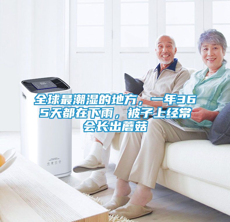 全球最潮湿的地方，一年365天都在下雨，被子上经常会长出蘑菇