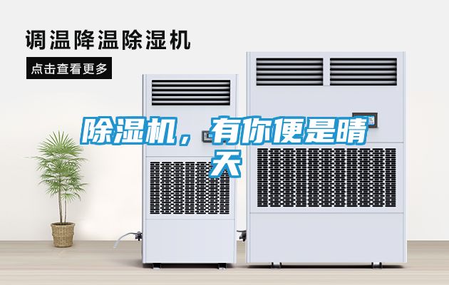 除湿机，有你便是晴天