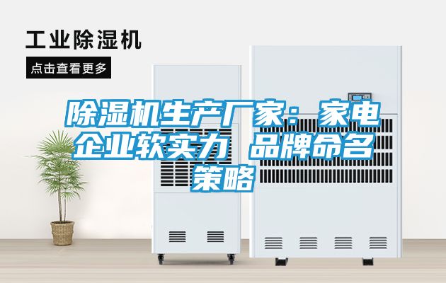除湿机生产厂家：家电企业软实力 品牌命名策略
