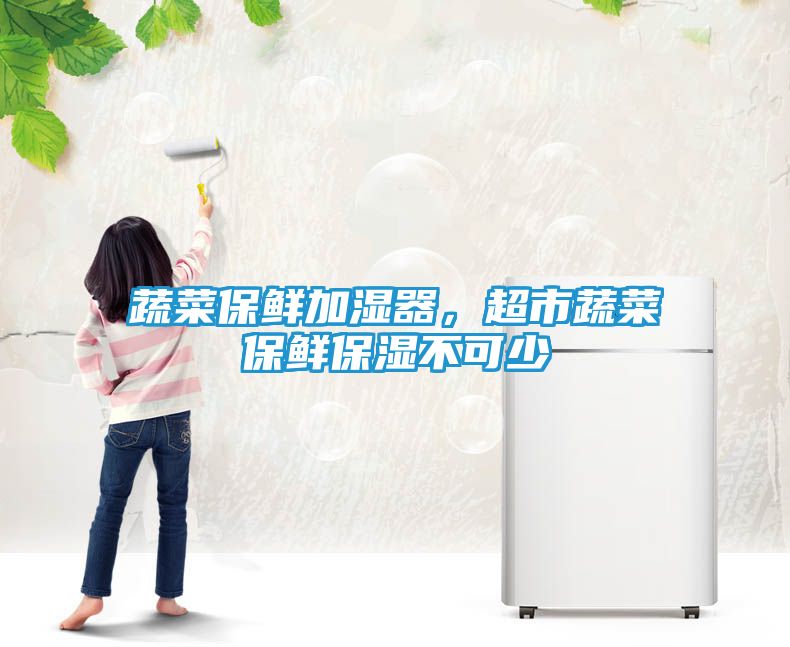 蔬菜保鲜加湿器，超市蔬菜保鲜保湿不可少