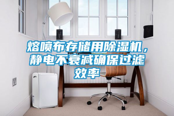 熔喷布存储用除湿机，静电不衰减确保过滤效率