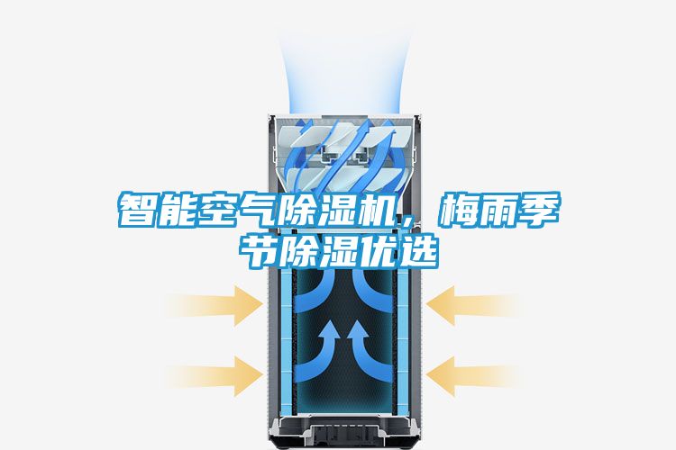 智能空气除湿机，梅雨季节除湿优选