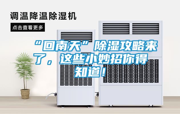 “回南天”除湿攻略来了，这些小妙招你得知道！