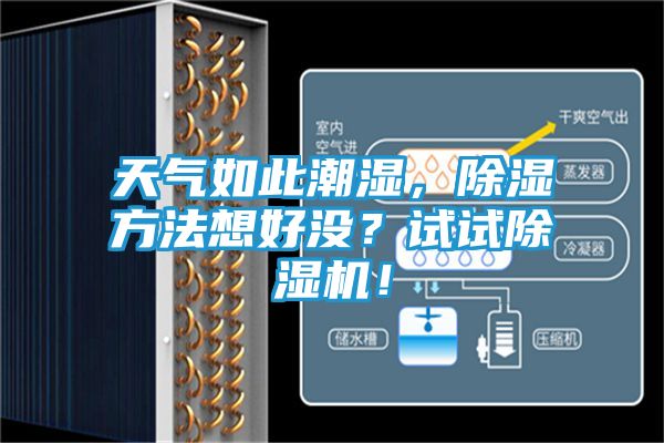 天气如此潮湿，除湿方法想好没？试试除湿机！