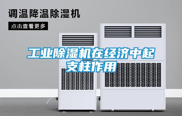 工业除湿机在经济中起支柱作用