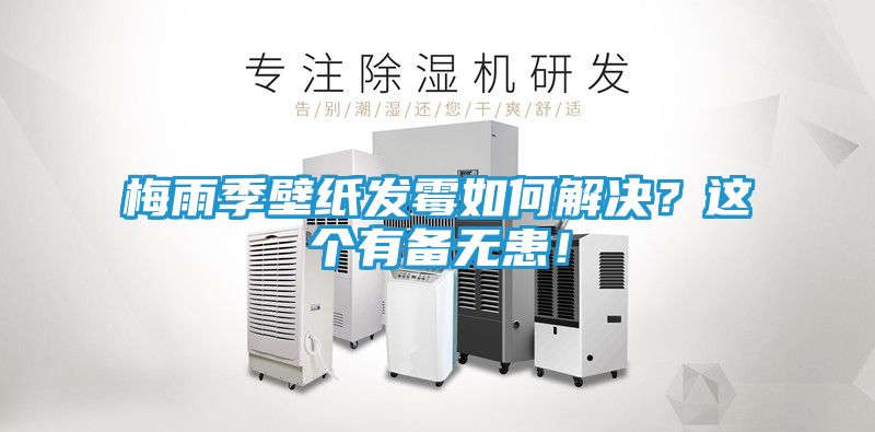 梅雨季壁纸发霉如何解决？这个有备无患！