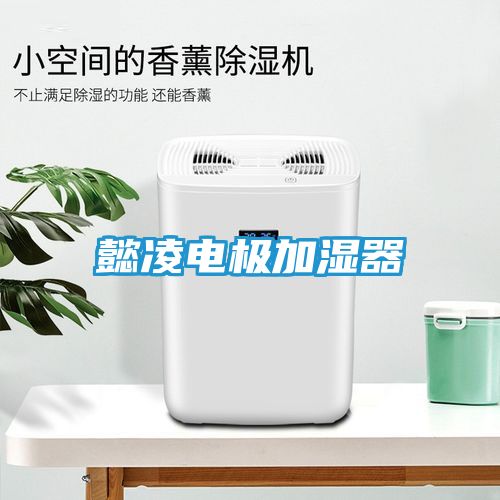 懿凌电极加湿器