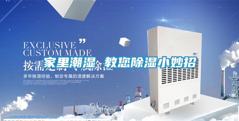 家里潮湿 教您除湿小妙招