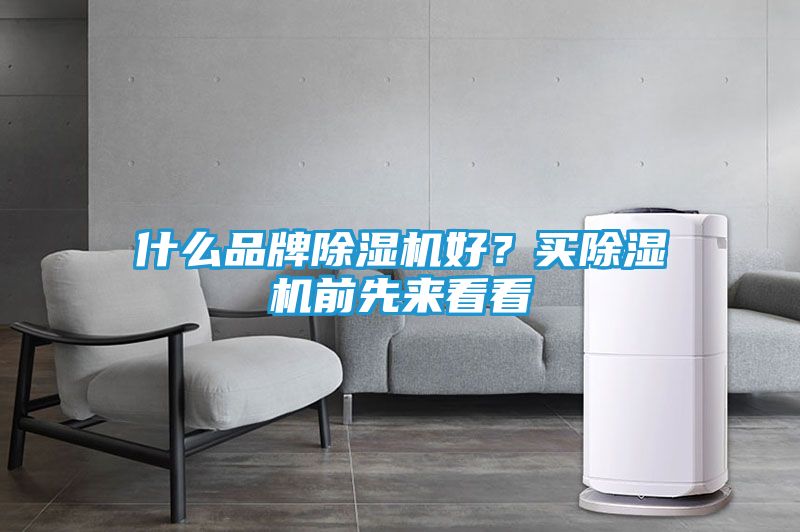什么品牌除湿机好？买除湿机前先来看看