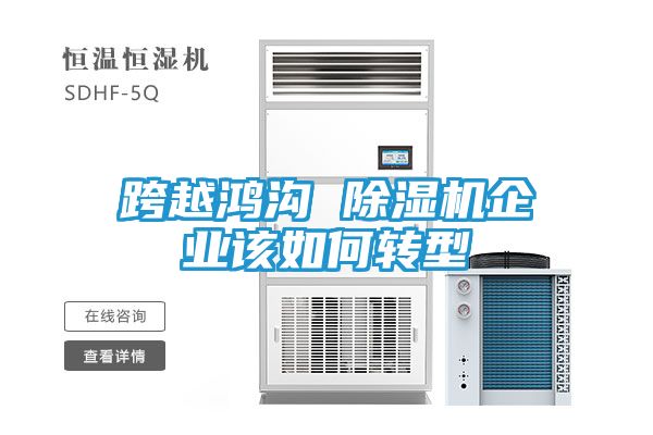 跨越鸿沟 除湿机企业该如何转型