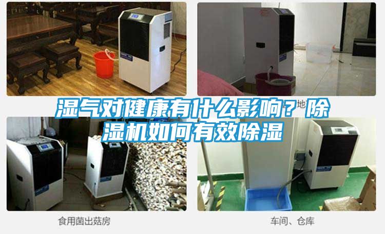 湿气对健康有什么影响？除湿机如何有效除湿