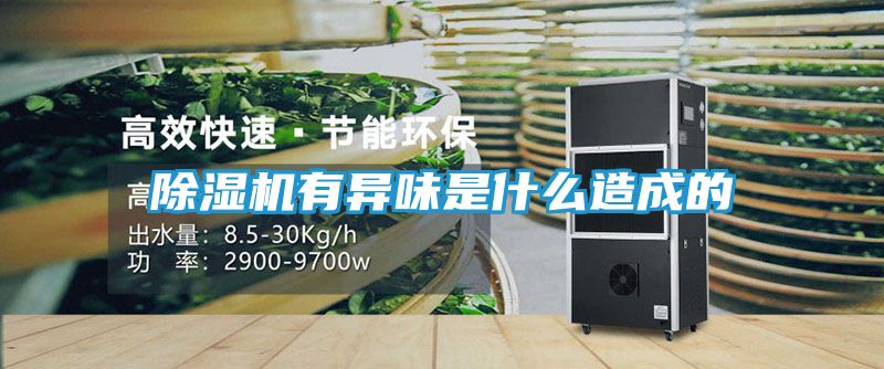 除湿机有异味是什么造成的