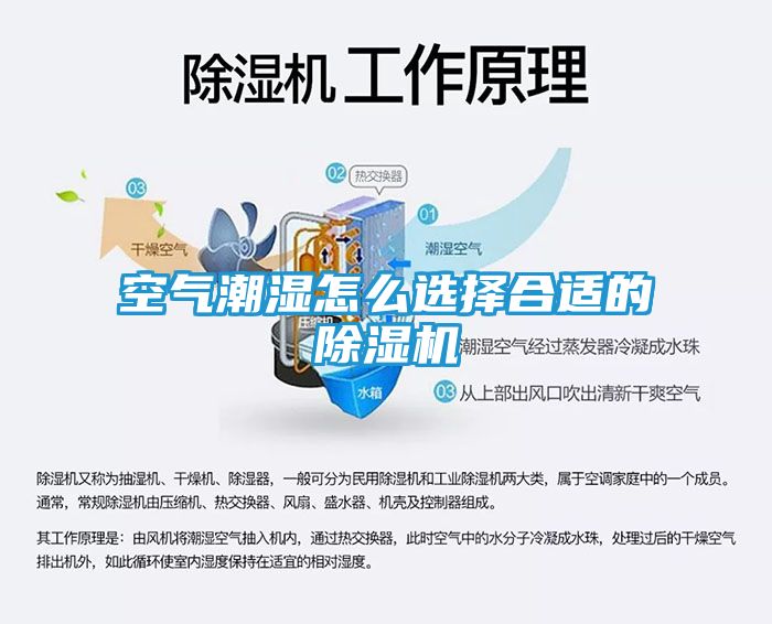空气潮湿怎么选择合适的除湿机