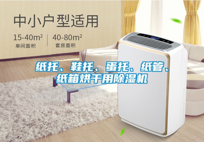 纸托、鞋托、蛋托、纸管、纸箱烘干用除湿机