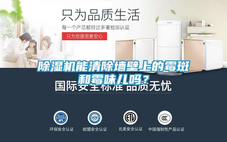 除湿机能清除墙壁上的霉斑和霉味儿吗？