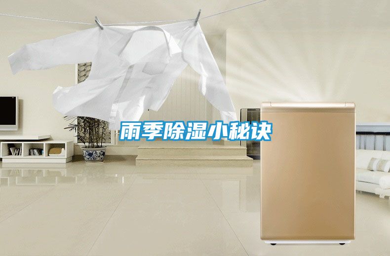 雨季除湿小秘诀