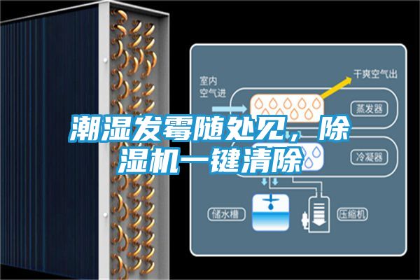 潮湿发霉随处见,除湿机一键清除
