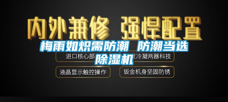 梅雨如炽需防潮 防潮当选除湿机