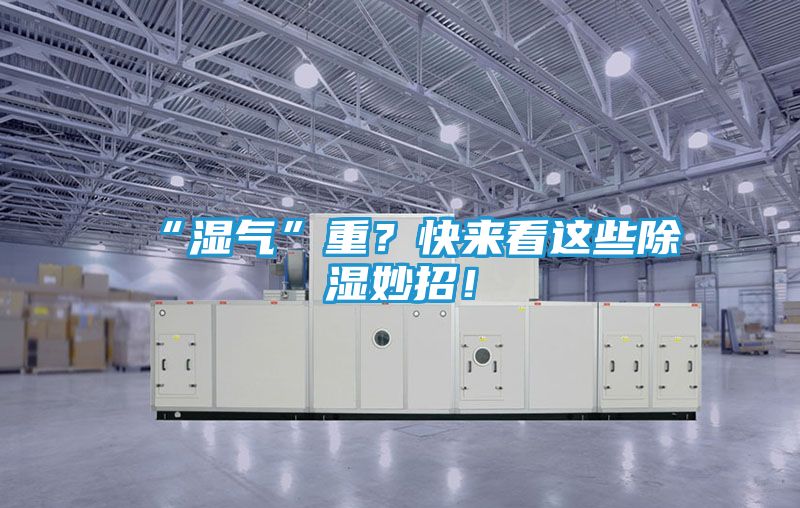 “湿气”重？快来看这些除湿妙招！