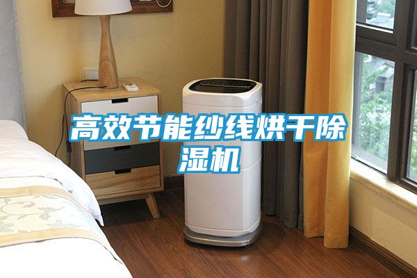 高效节能纱线烘干除湿机