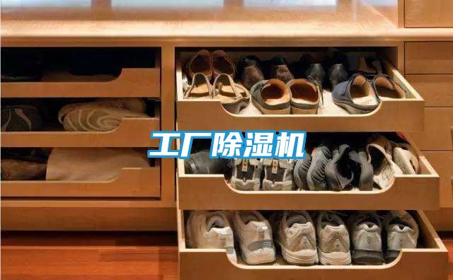 工厂除湿机
