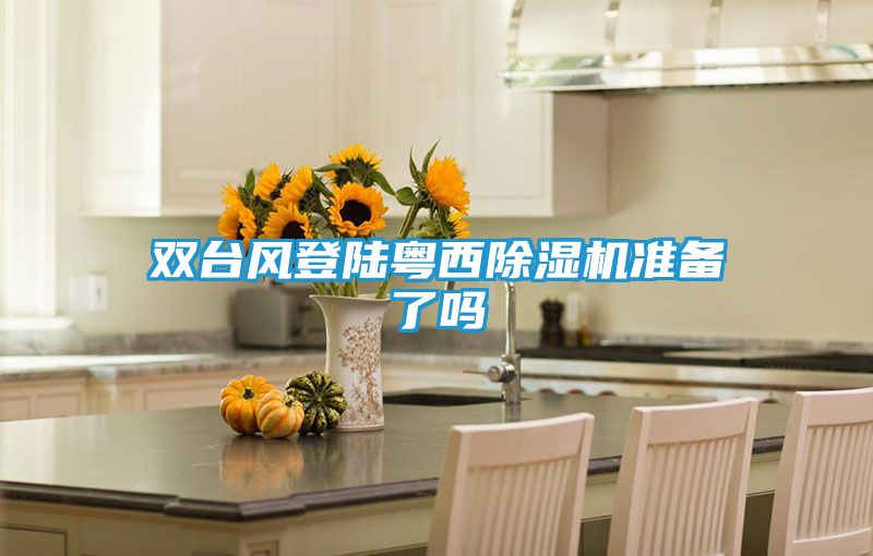 双台风登陆粤西除湿机准备了吗