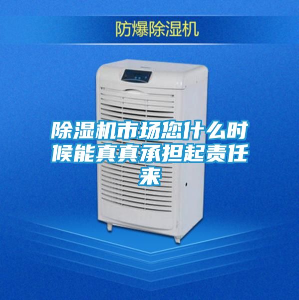 除湿机市场您什么时候能真真承担起责任来